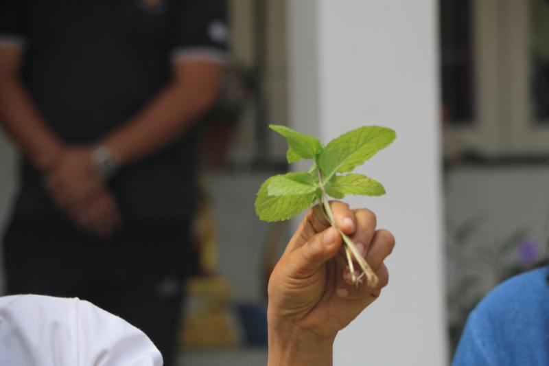 13. สำนักงาน กศน. จังหวัดกำแพงเพชรรับมอบกล้าผักและพืชผักสวนครัวปลอดสารพิษจากกลุ่มปลูกผักอินทรีย์ 