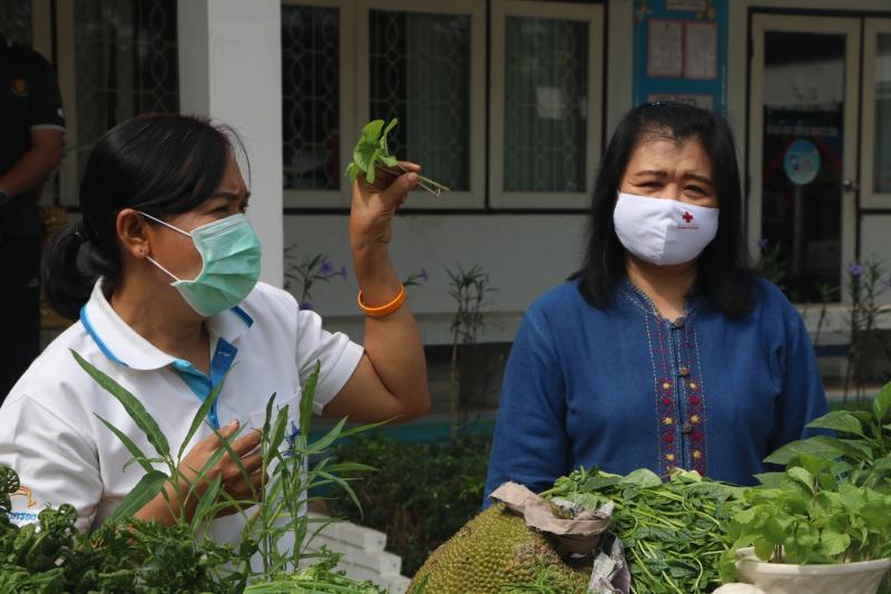 14. สำนักงาน กศน. จังหวัดกำแพงเพชรรับมอบกล้าผักและพืชผักสวนครัวปลอดสารพิษจากกลุ่มปลูกผักอินทรีย์ 