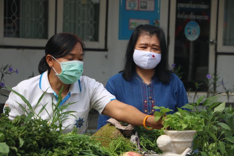 15. สำนักงาน กศน. จังหวัดกำแพงเพชรรับมอบกล้าผักและพืชผักสวนครัวปลอดสารพิษจากกลุ่มปลูกผักอินทรีย์ 