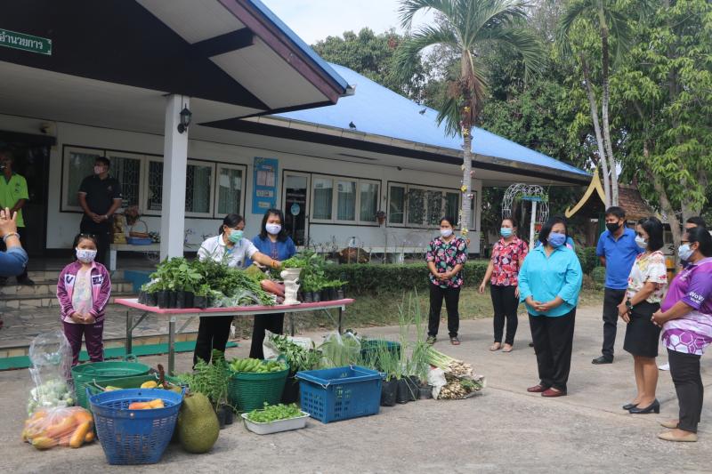 16. สำนักงาน กศน. จังหวัดกำแพงเพชรรับมอบกล้าผักและพืชผักสวนครัวปลอดสารพิษจากกลุ่มปลูกผักอินทรีย์ 