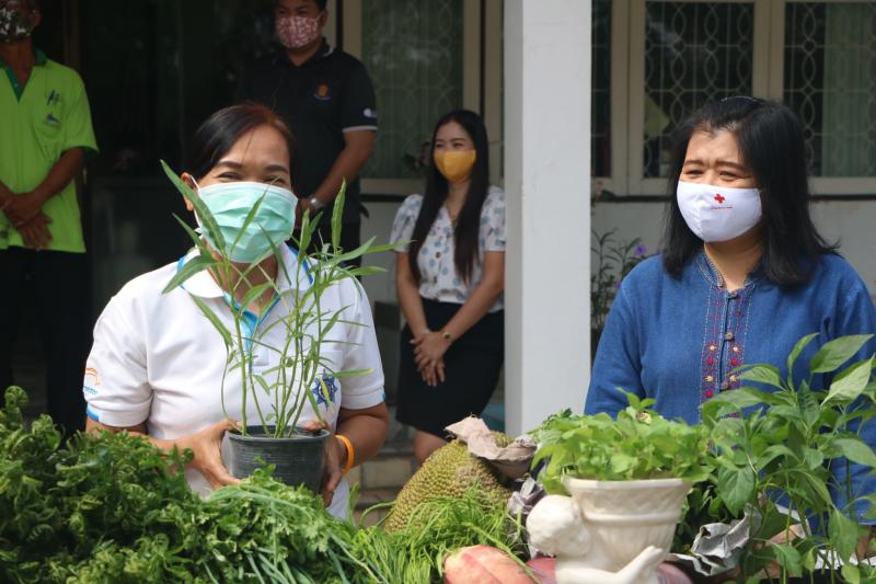 17. สำนักงาน กศน. จังหวัดกำแพงเพชรรับมอบกล้าผักและพืชผักสวนครัวปลอดสารพิษจากกลุ่มปลูกผักอินทรีย์ 