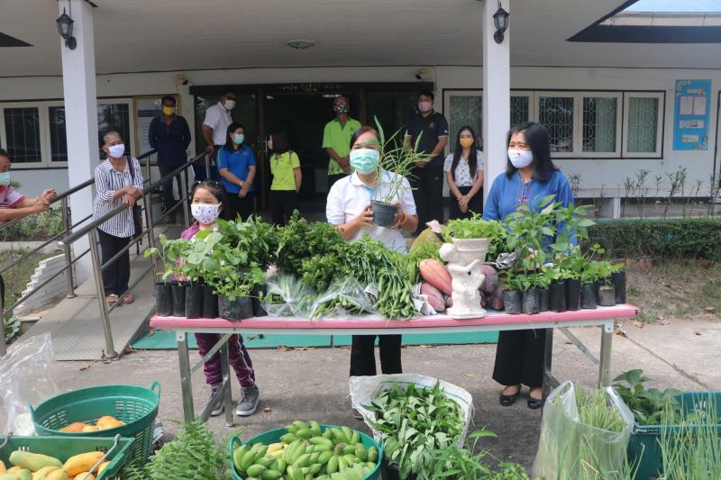 18. สำนักงาน กศน. จังหวัดกำแพงเพชรรับมอบกล้าผักและพืชผักสวนครัวปลอดสารพิษจากกลุ่มปลูกผักอินทรีย์ 