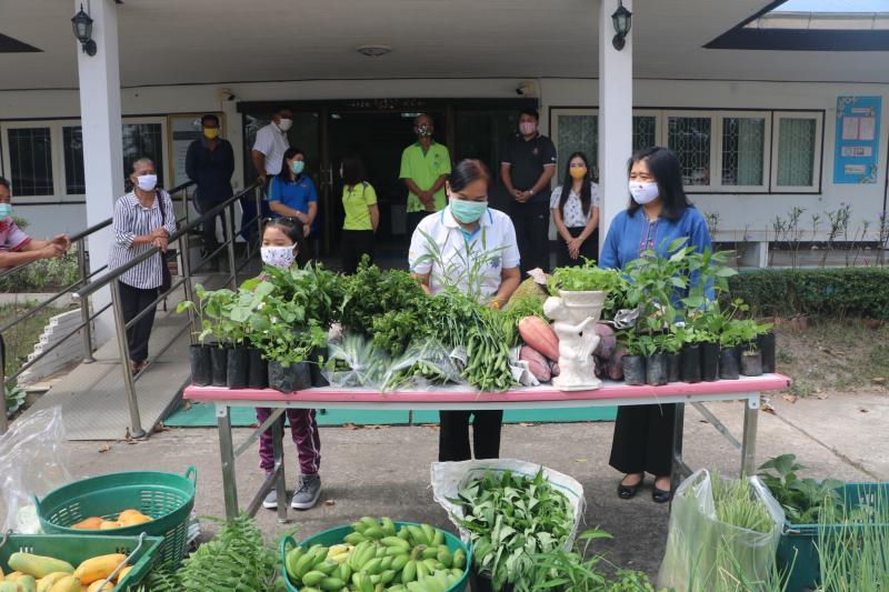 19. สำนักงาน กศน. จังหวัดกำแพงเพชรรับมอบกล้าผักและพืชผักสวนครัวปลอดสารพิษจากกลุ่มปลูกผักอินทรีย์ 