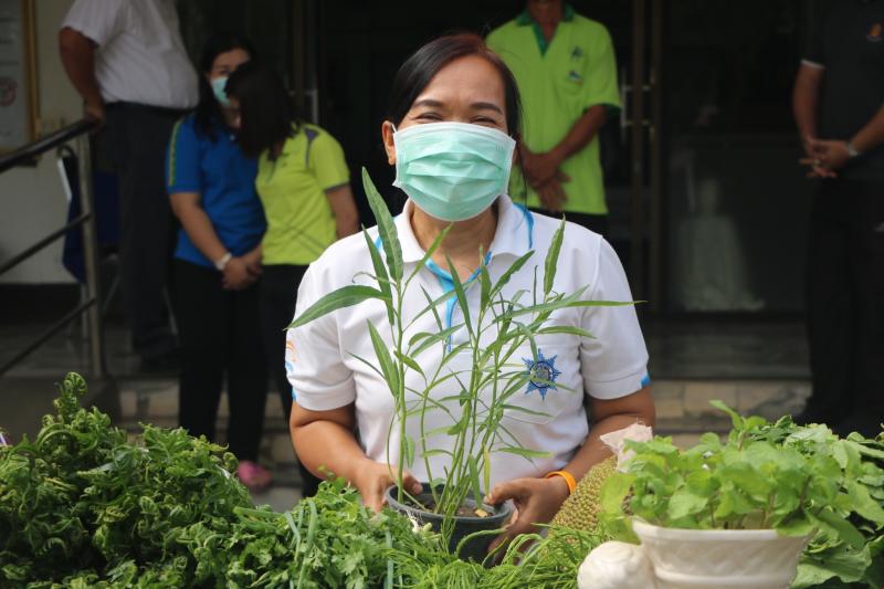 20. สำนักงาน กศน. จังหวัดกำแพงเพชรรับมอบกล้าผักและพืชผักสวนครัวปลอดสารพิษจากกลุ่มปลูกผักอินทรีย์ 