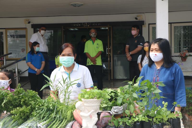 21. สำนักงาน กศน. จังหวัดกำแพงเพชรรับมอบกล้าผักและพืชผักสวนครัวปลอดสารพิษจากกลุ่มปลูกผักอินทรีย์ 