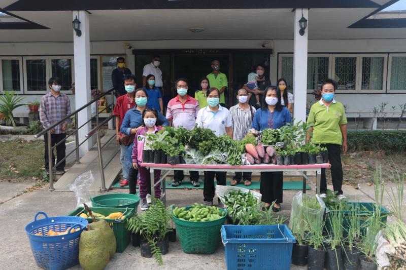 22. สำนักงาน กศน. จังหวัดกำแพงเพชรรับมอบกล้าผักและพืชผักสวนครัวปลอดสารพิษจากกลุ่มปลูกผักอินทรีย์ 