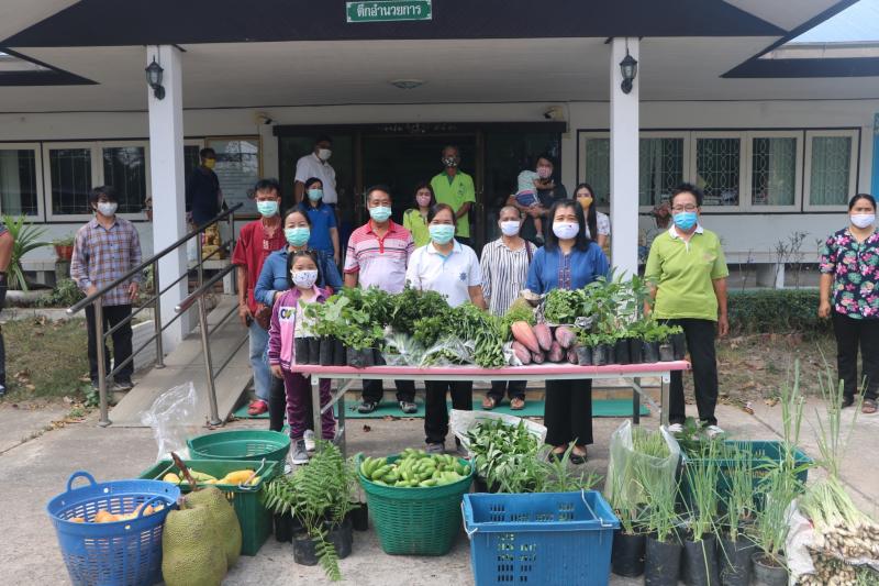 23. สำนักงาน กศน. จังหวัดกำแพงเพชรรับมอบกล้าผักและพืชผักสวนครัวปลอดสารพิษจากกลุ่มปลูกผักอินทรีย์ 