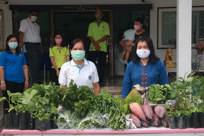 24. สำนักงาน กศน. จังหวัดกำแพงเพชรรับมอบกล้าผักและพืชผักสวนครัวปลอดสารพิษจากกลุ่มปลูกผักอินทรีย์ 