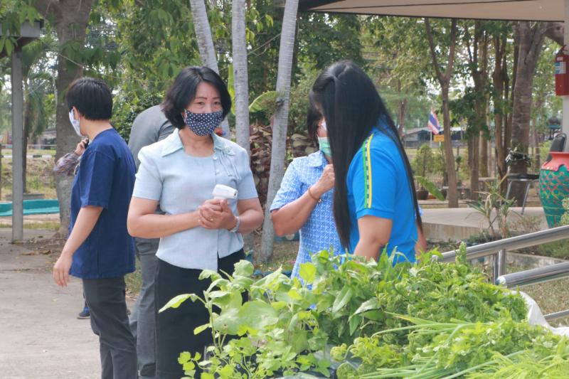 25. สำนักงาน กศน. จังหวัดกำแพงเพชรรับมอบกล้าผักและพืชผักสวนครัวปลอดสารพิษจากกลุ่มปลูกผักอินทรีย์ 