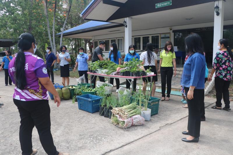 26. สำนักงาน กศน. จังหวัดกำแพงเพชรรับมอบกล้าผักและพืชผักสวนครัวปลอดสารพิษจากกลุ่มปลูกผักอินทรีย์ 