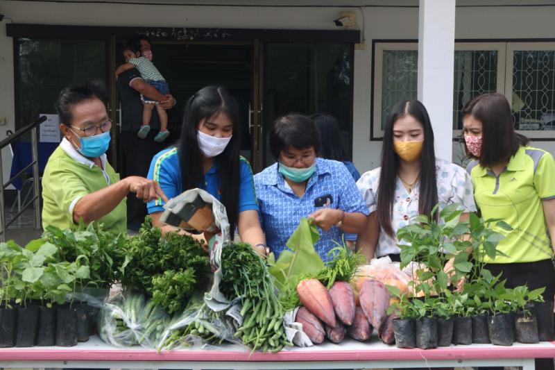 29. สำนักงาน กศน. จังหวัดกำแพงเพชรรับมอบกล้าผักและพืชผักสวนครัวปลอดสารพิษจากกลุ่มปลูกผักอินทรีย์ 