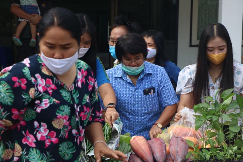 30. สำนักงาน กศน. จังหวัดกำแพงเพชรรับมอบกล้าผักและพืชผักสวนครัวปลอดสารพิษจากกลุ่มปลูกผักอินทรีย์ 