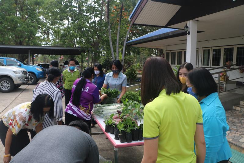 32. สำนักงาน กศน. จังหวัดกำแพงเพชรรับมอบกล้าผักและพืชผักสวนครัวปลอดสารพิษจากกลุ่มปลูกผักอินทรีย์ 