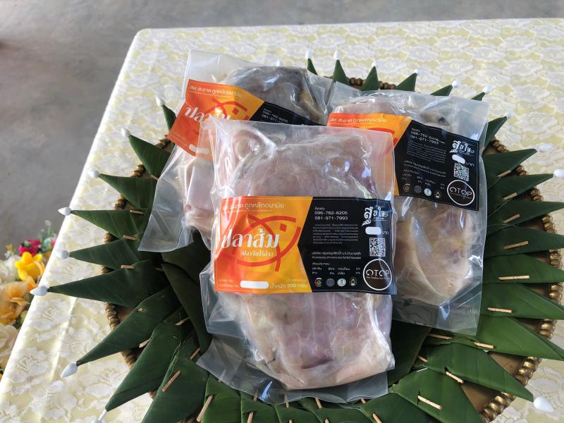 16. สำนักงาน กศน. จังหวัดกำแพงเพชรถ่ายทำหลักสูตรอาชีพ ปลาส้มสุขใจไร้ก้าง กับ กศน.อำเภอคลองขลุง