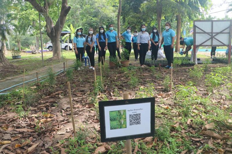 3. สำนักงาน กศน.จังหวัดกำแพงเพชร จัดโครงการส่งเสริมการเรียนรู้การปลูกพืชสมุนไพร   “ล้านเมล็ดพันธุ์สู้ภัยโควิด-19”